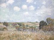 Alfred Sisley Ang Sweden oil painting artist
